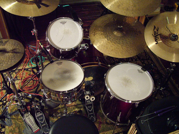Brian Viglione