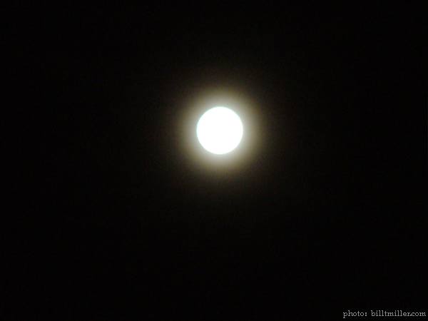 btm worm moon