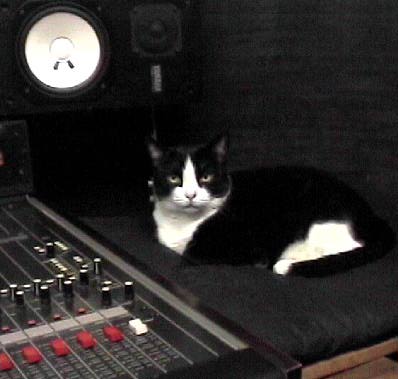 TIPPI