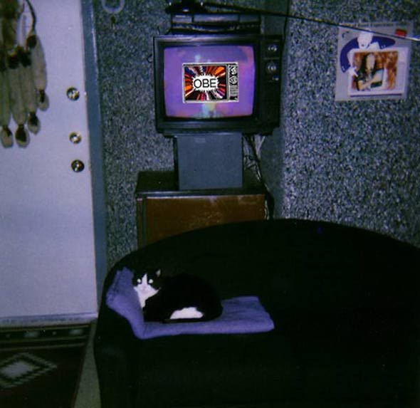 TIPPI