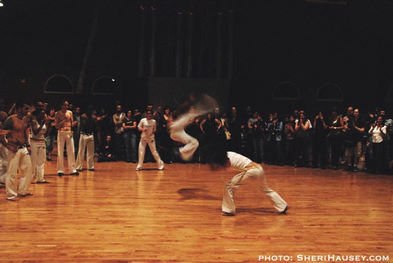 Multimedia Circus