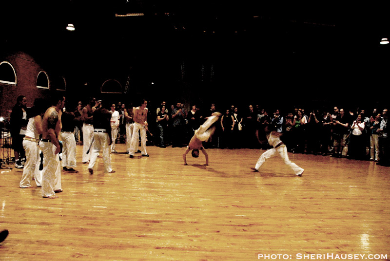 Multimedia Circus
