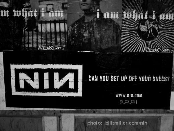 nin